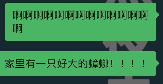 网站2