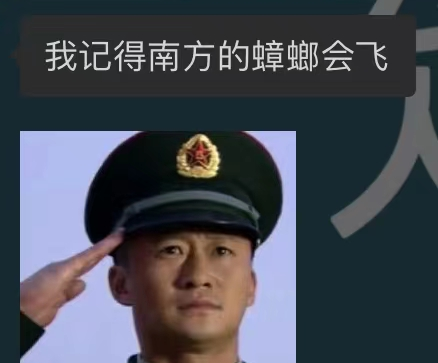 网站3