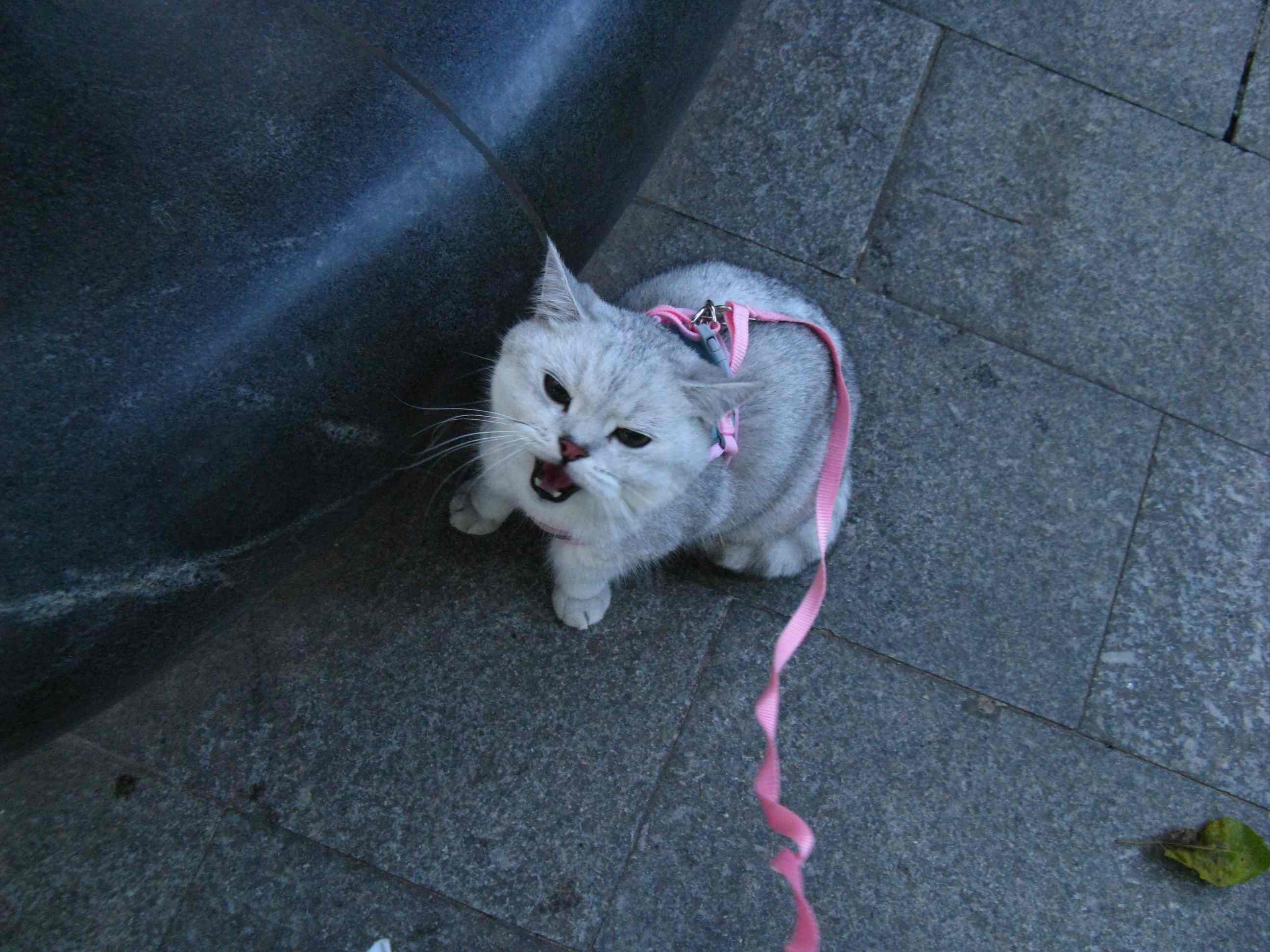 微信图片_20251027095838_277_9 微信图片_20251027095838_277_9